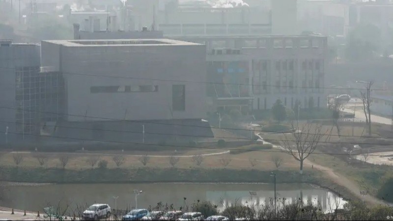 China detecta coronavirus en murciélagos de riesgo potencial